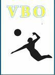 lien volley VBDM
